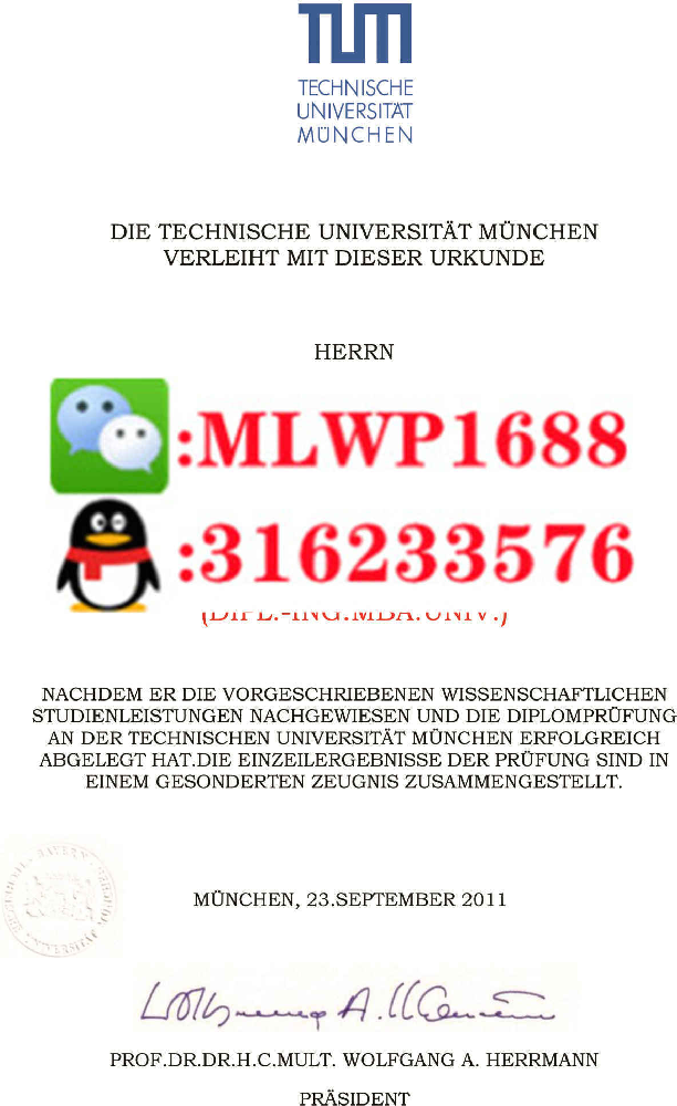 慕尼黑工业大学 Technical University of Munich 毕业证模版 成绩单样本