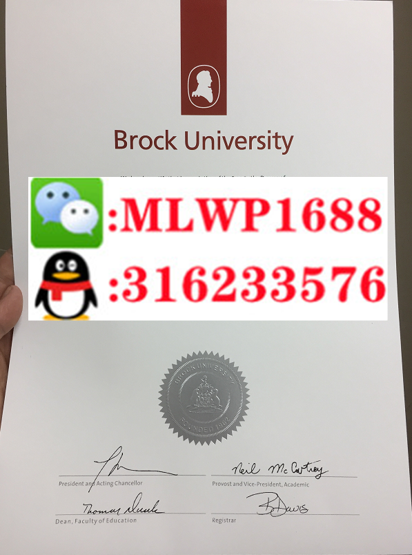 布鲁克大学 University of Brock 毕业证模版 成绩单样本